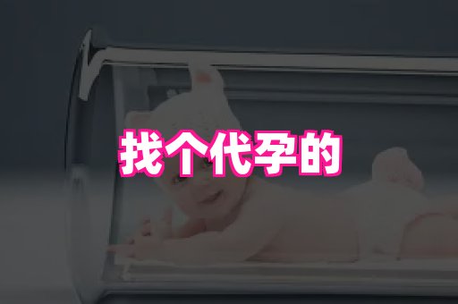 福建助孕网 1