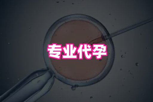 福建助孕网 2